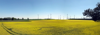 Raps Windkraft